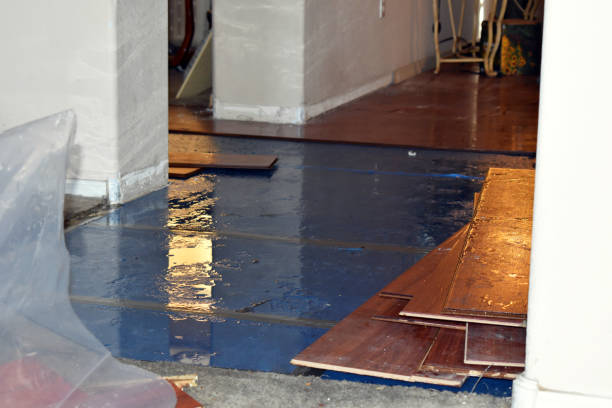 Professional Water Damage Restoration technician working in Minot, ME